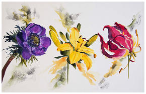 Flower Medley Watercolour 15'' x 23''    www.Naomi-White.co.uk