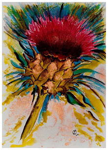 Prickly Scot Watercolour 15 x 11