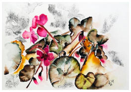 Cyclamen Watercolour 