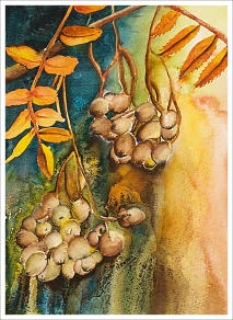 Sorbus Watercolour 10x14